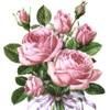 cathi33rose